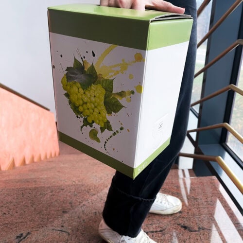 Bag in box per vino 5 litri