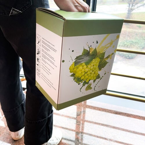 Bag in box per vino 5 litri