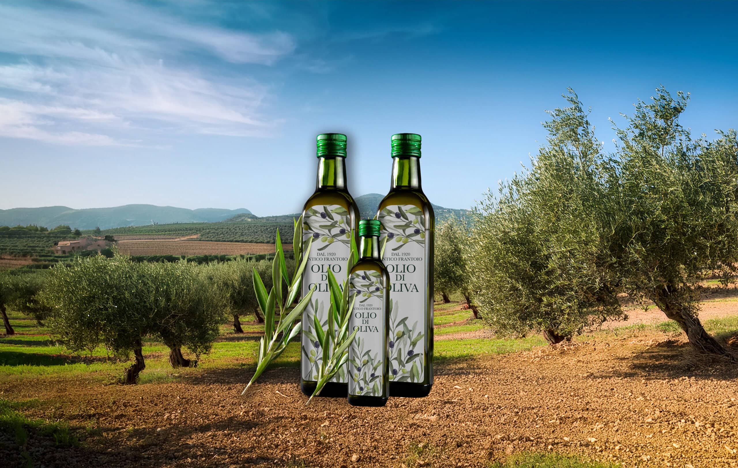 etichette olio personalizzate, etichette olio da stampare gratis, stampa etichette per olio